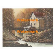 Afternoon Glow  - XS5303  -  PRINT