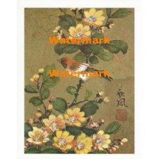 Bird & Blossoms  - XS5328  -  PRINT