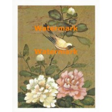 Bird & Blossoms  - XS5329  -  PRINT
