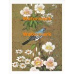 Bird & Blossoms  - XS5331  -  PRINT