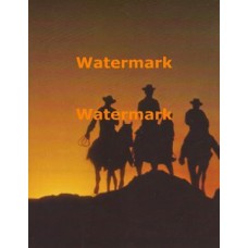 Cowboys  - XS5533  -  PRINT