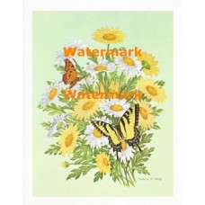 Butterflies & Daisies  - XS724  -  PRINT
