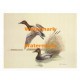 Canvasback Ducks  - XS764  -  PRINT