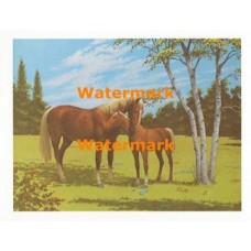 A Moment Together  - XS771  -  PRINT