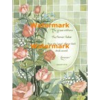 Forever Love  - XS8058  -  PRINT