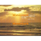 Thy Word Is A Lamp  - XS8321  -  PRINT