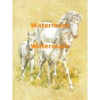 Horse Family  - #XS8539  -  PRINT