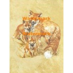Fox Family  - XS8541  -  PRINT