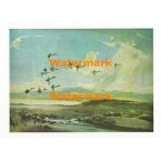 In Flight  - XS871  -  PRINT