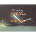 Life  - XS9465  -  PRINT