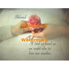 Beloved  - XS9467  -  PRINT