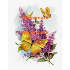 Butterflies & Lilacs  - XS968  -  PRINT