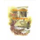 Lion Fountain  - XBSC1215  -  PRINT