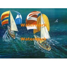 Regatta  - XBSC2103  -  PRINT 