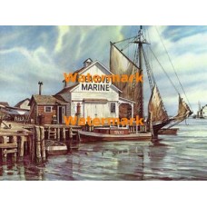 Sea Cove Marine  - XBSC2237  -  PRINT 