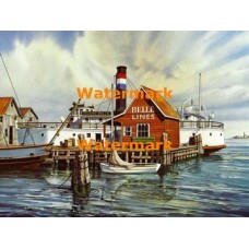 Island Belle  - XBSC2238  -  PRINT 