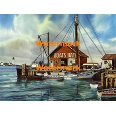 Boats Bait  - XBSC2240  -  PRINT 