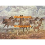 On the Run  - #XBSC2310  -  PRINT