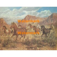Canyon  - XBSC2311  -  PRINT