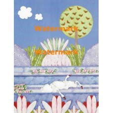 Swans  - XBSC3055  -  PRINT 