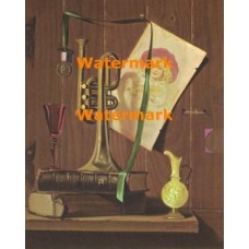 Musical Instrument  - XBSL403  -  PRINT