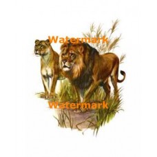 On The Lookout  - #XD7123  -  PRINT