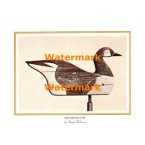Weathervane  - #XD7247  -  PRINT