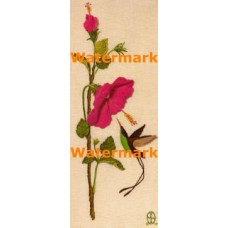 Hummingbird  - XD7499  -  PRINT