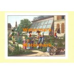 Scene  - #XD7947  -  PRINT