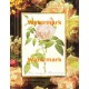 Tea Rose  - #XAR7418  -  PRINT