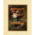 Peonies In A Garden  - #XAR7248  -  PRINT