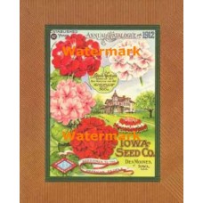 Seed Annual II  - #XAR7334  -  PRINT