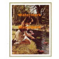 Waterlilies  - #XD7756  -  PRINT