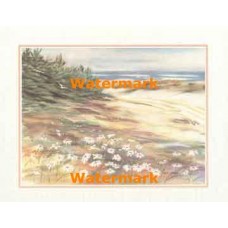 Daisy Path  - XKFL7335  -  PRINT