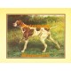 Pointer  - #XKFL7208  -  PRINT