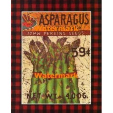 Asparagus  - XKFL7729  -  PRINT
