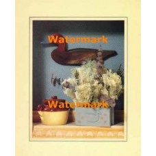 Chalk Plant  - XKFL7271  -  PRINT
