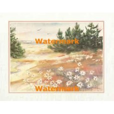 Daisy Beach  - XKFL7336  -  PRINT