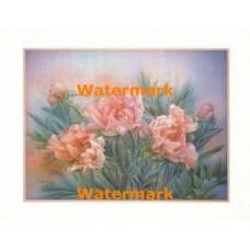 Peony  -  #XKFL7344  -  PRINT