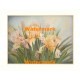 Iris  -  XKFL7345  -  PRINT