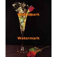 Red Rose  - XKL7301  -  PRINT