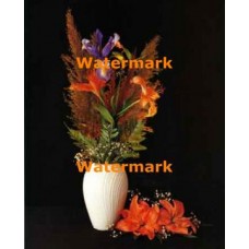 Rust Lilies  - #XKL7303  -  PRINT