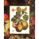 Botanical Pears  - XAR7428  -  PRINT
