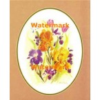 Iris Bouquet  - #XKFL8247  -  PRINT