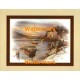 Village Dock  - #XKFL8258  -  PRINT
