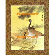 Oriental Geese  - #XKFL8285  -  PRINT