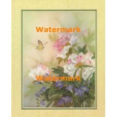 Peony  - #XKFL8431  -  PRINT