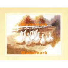 Group Outing  - XKFL8446  -  PRINT