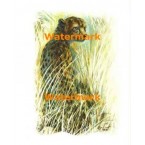 Cheetah  - #XKL8140  -  PRINT