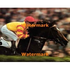 Down The Stretch  - XKLLAM8525  -  PHOTO PRINT